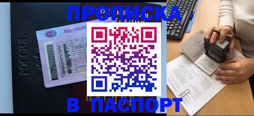 пропишу в квартире в Армавире